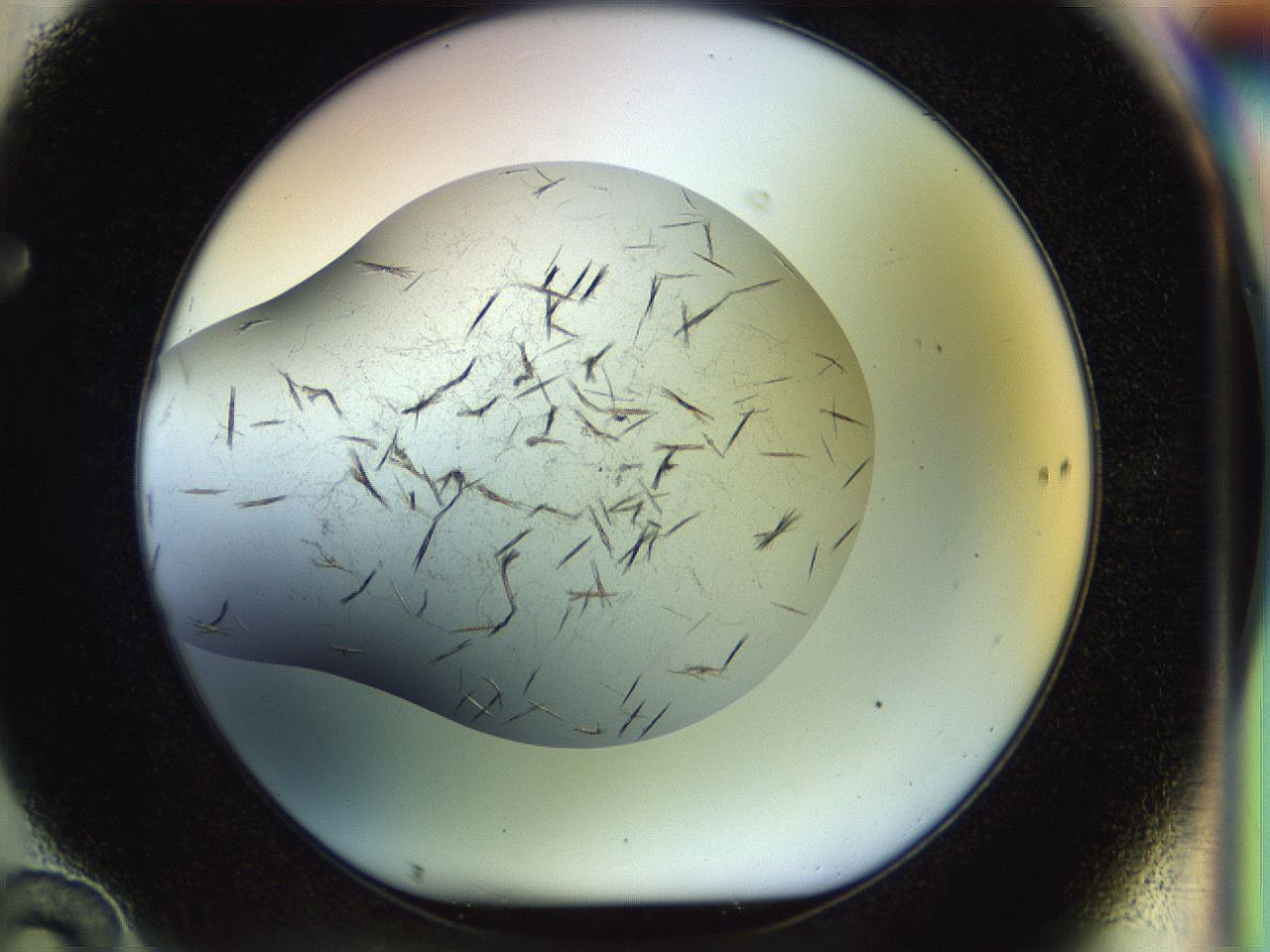 04yk_F10_ImagerDefaults_7.jpg
