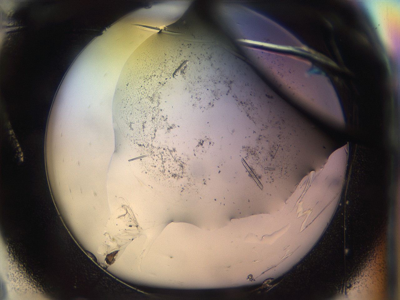 04ym_A8_ImagerDefaults_9.jpg