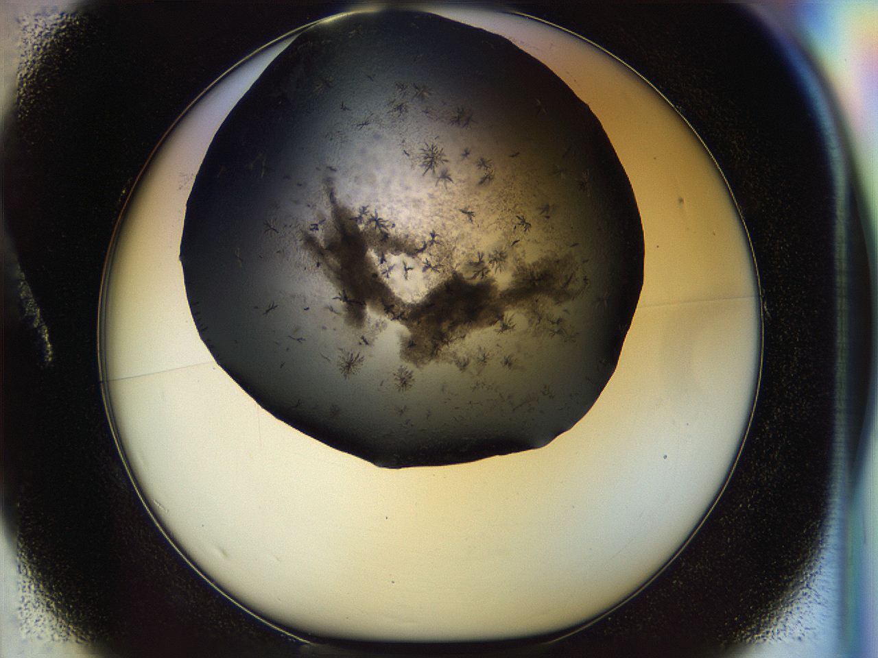 04ym_A1_ImagerDefaults_6.jpg