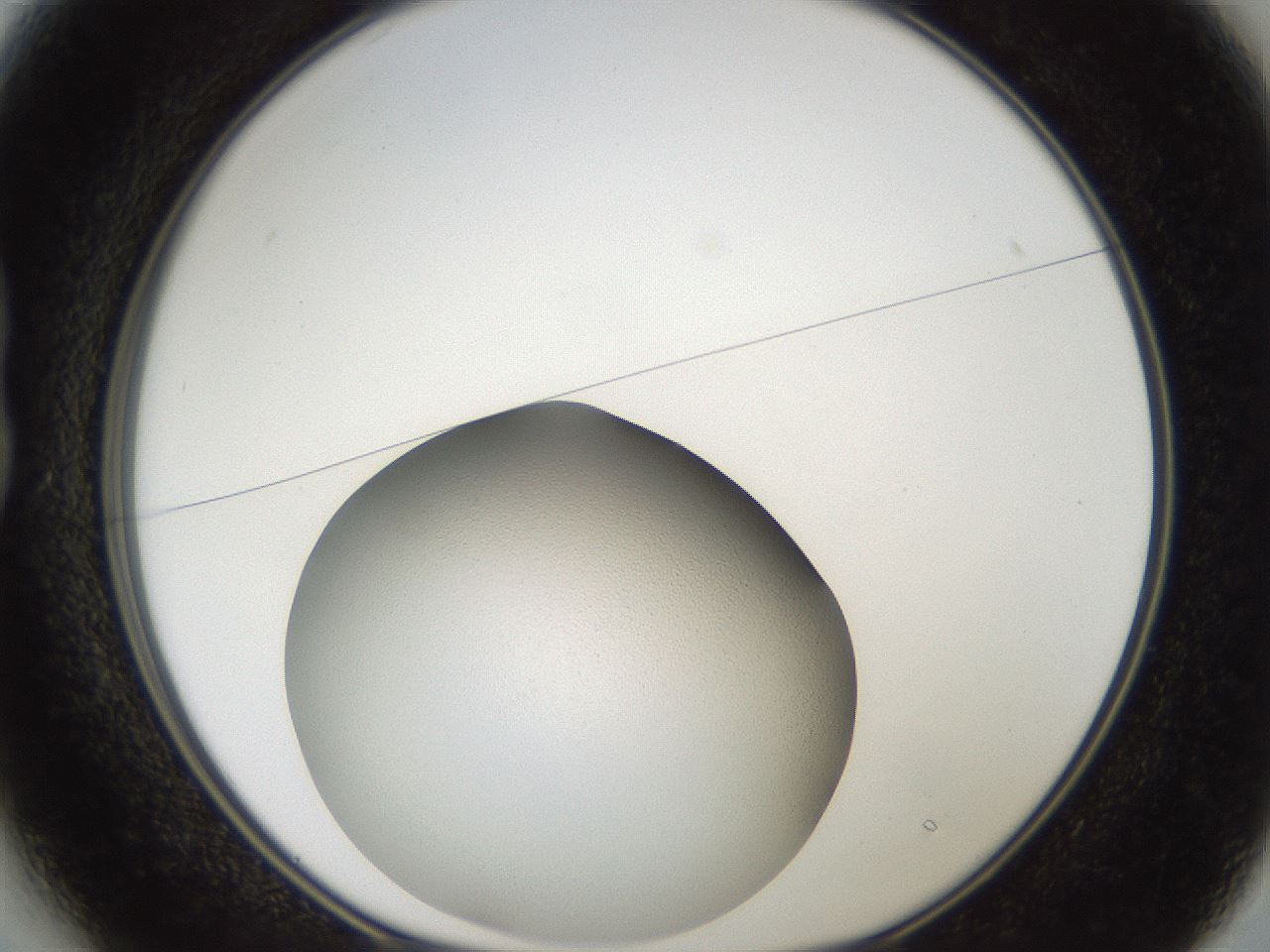 folderID164_plateID2164_batchID9457_wellNum13_profileID1_d1_r145619_ef.jpg