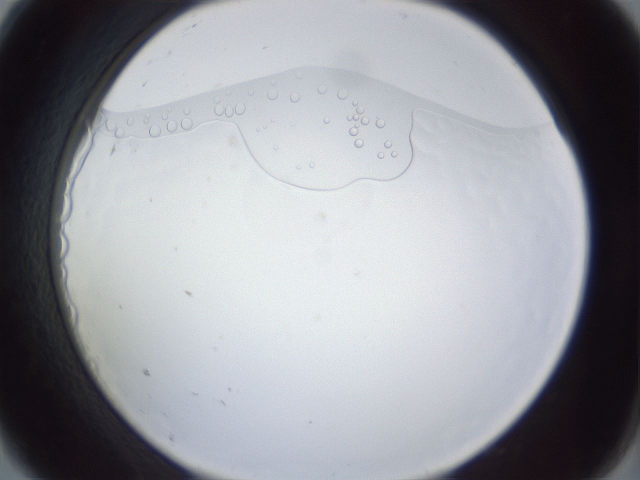 folderID166_plateID1166_batchID2960_wellNum9_profileID1_d2_r61296_ef.jpg