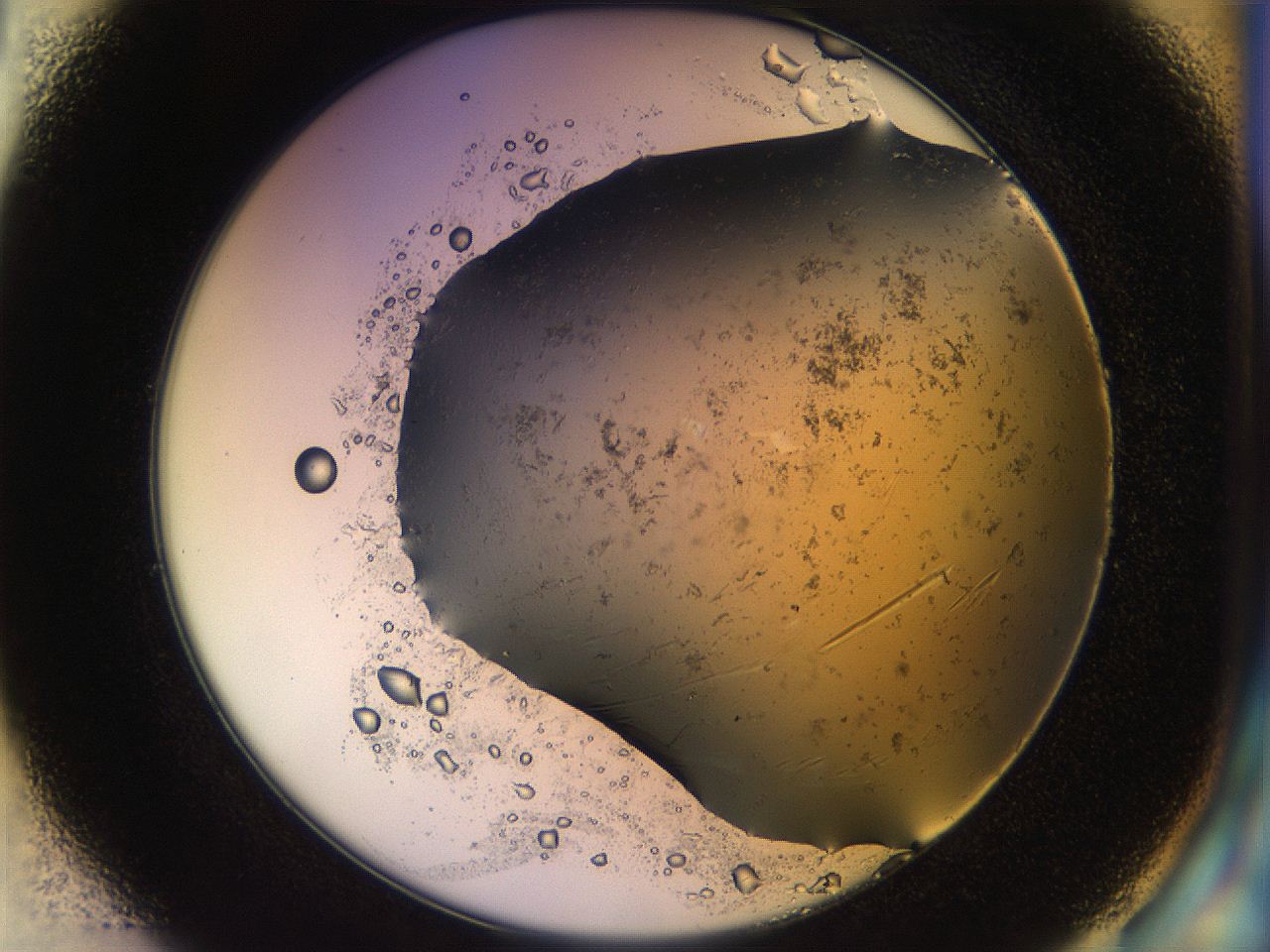 04yp_E1_ImagerDefaults_9.jpg