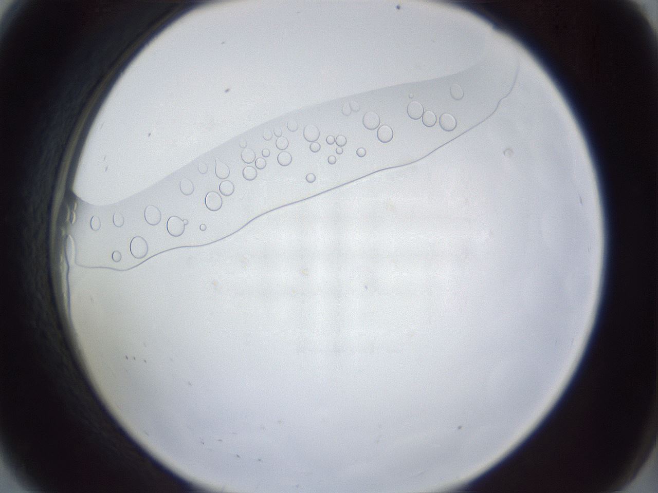 folderID166_plateID1166_batchID3739_wellNum8_profileID1_d2_r61294_ef.jpg