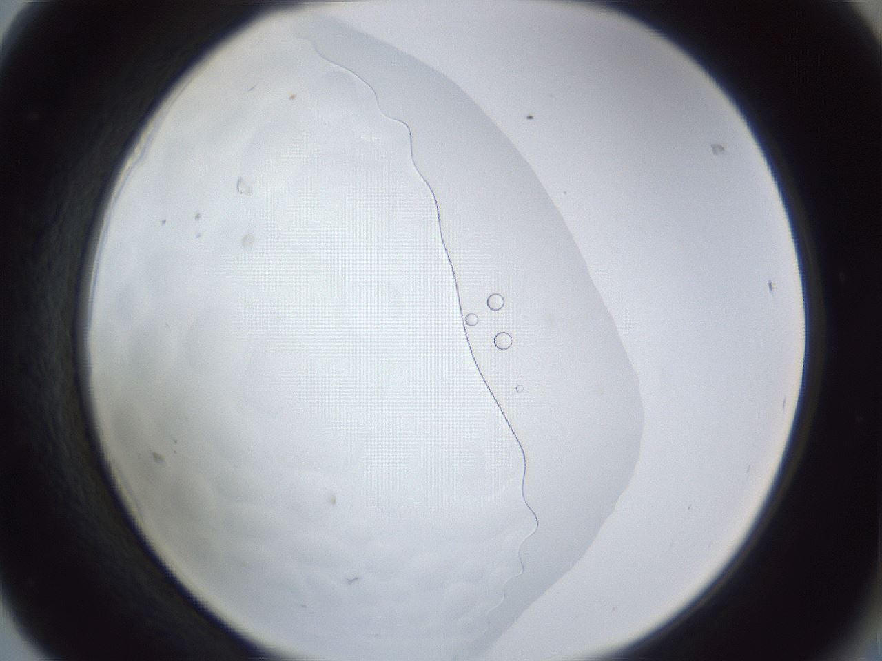 folderID166_plateID1166_batchID3989_wellNum68_profileID1_d2_r61414_ef.jpg