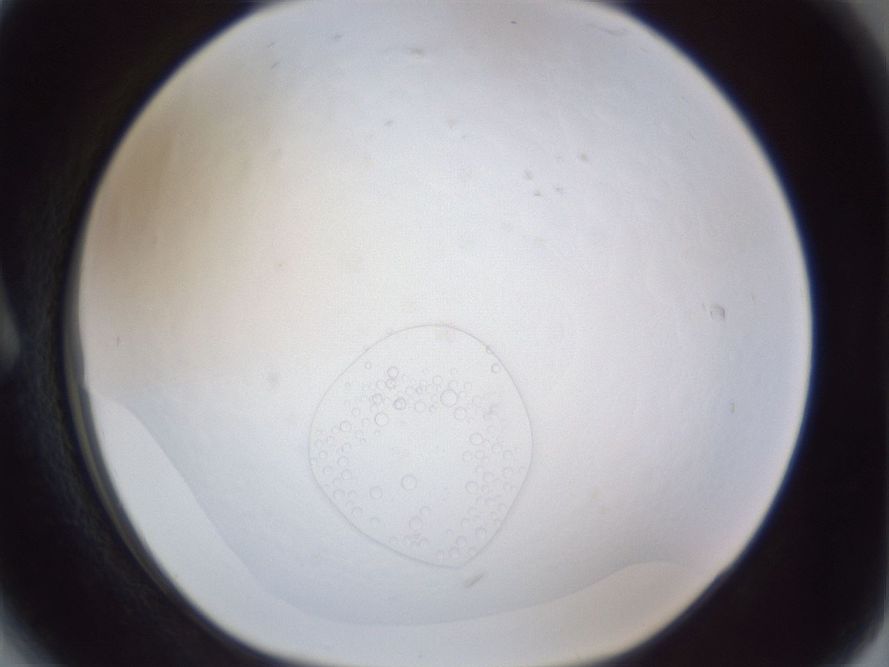 folderID167_plateID1167_batchID3448_wellNum6_profileID1_d1_r61481_ef.jpg