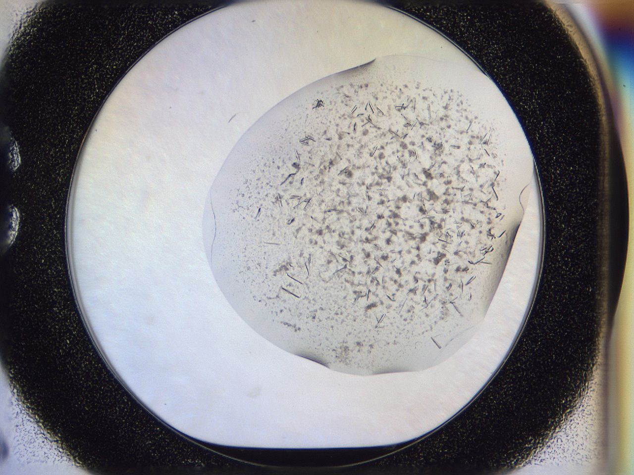 04zw_C6_ImagerDefaults_6.jpg