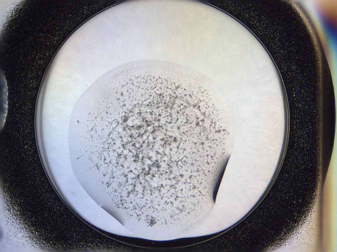 04zw_D5_ImagerDefaults_6.jpg