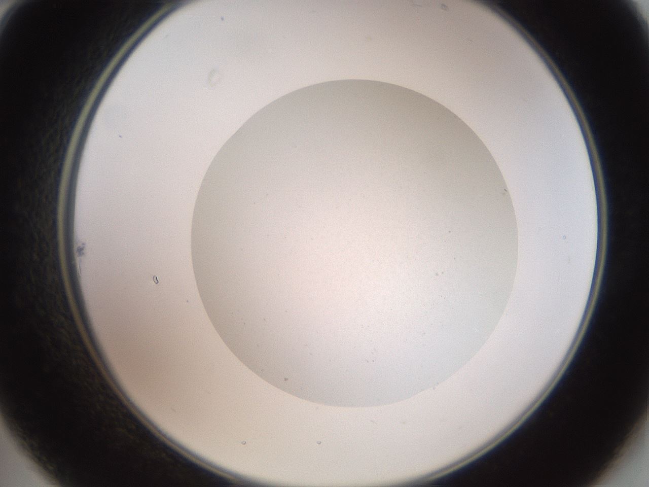 folderID16_plateID3016_batchID16524_wellNum22_profileID1_d2_r251374_ef.jpg