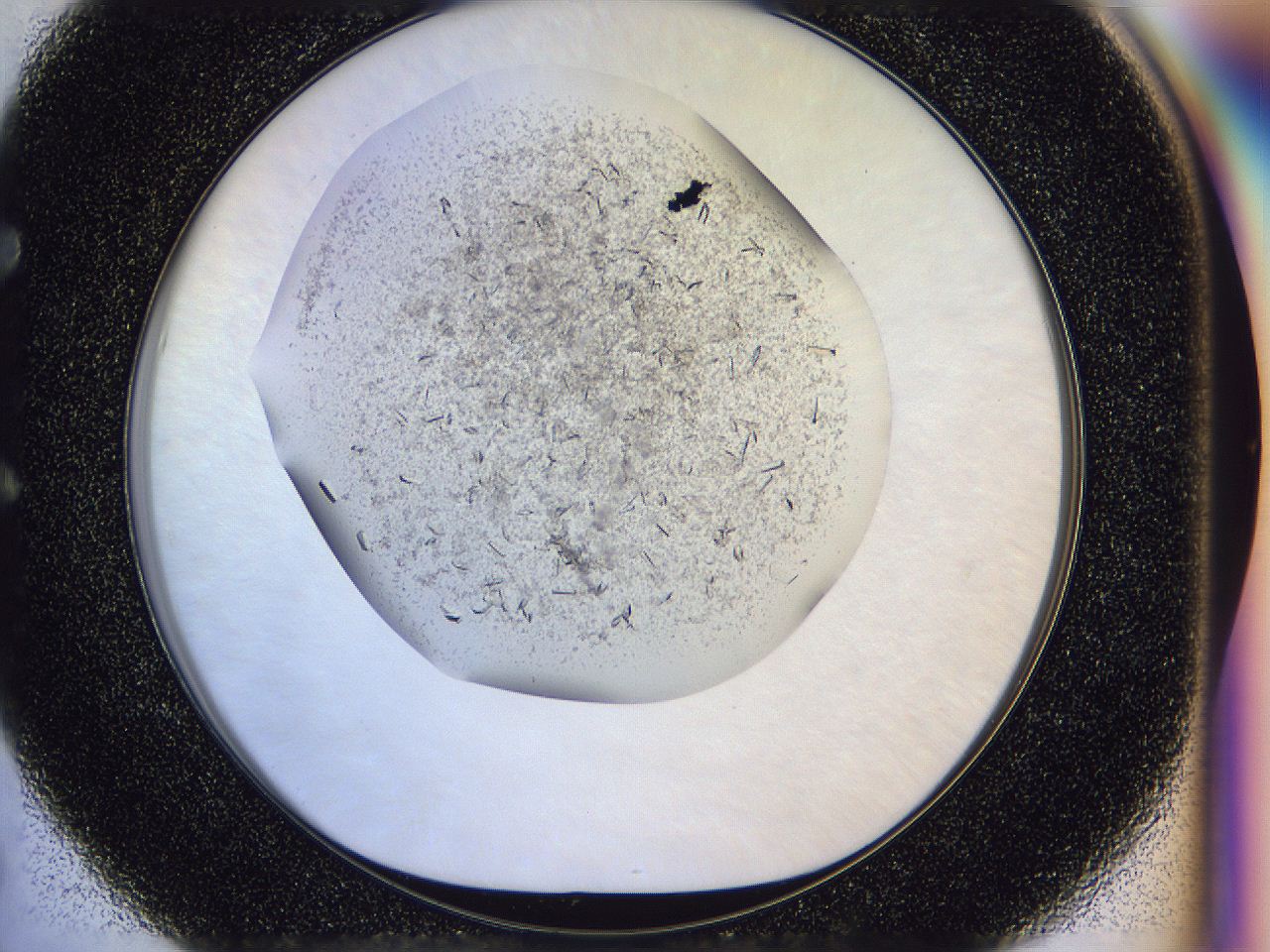04zw_E5_ImagerDefaults_6.jpg