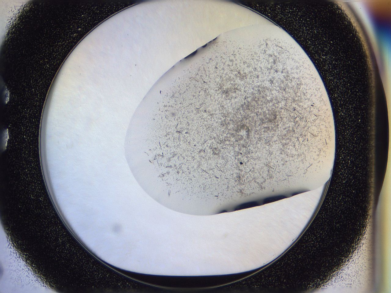 04zw_C5_ImagerDefaults_6.jpg
