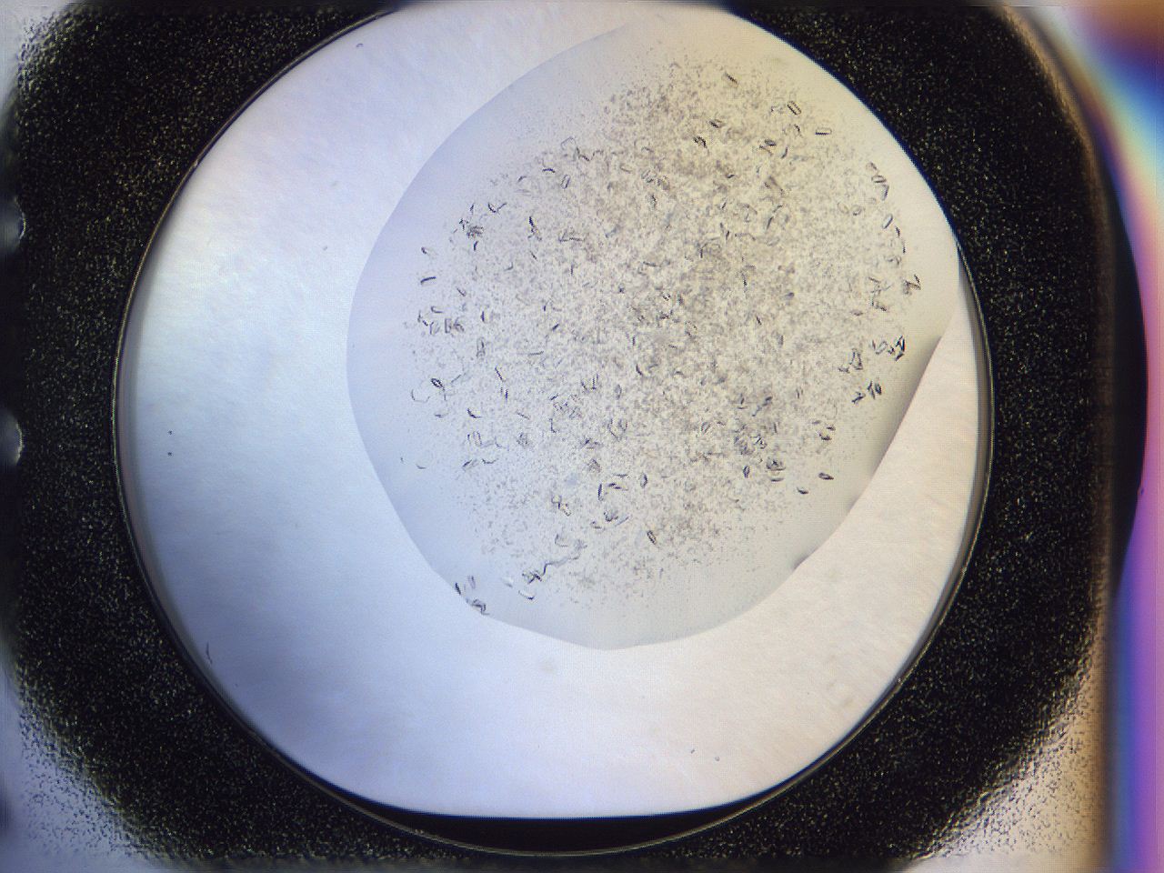 04zw_E6_ImagerDefaults_6.jpg