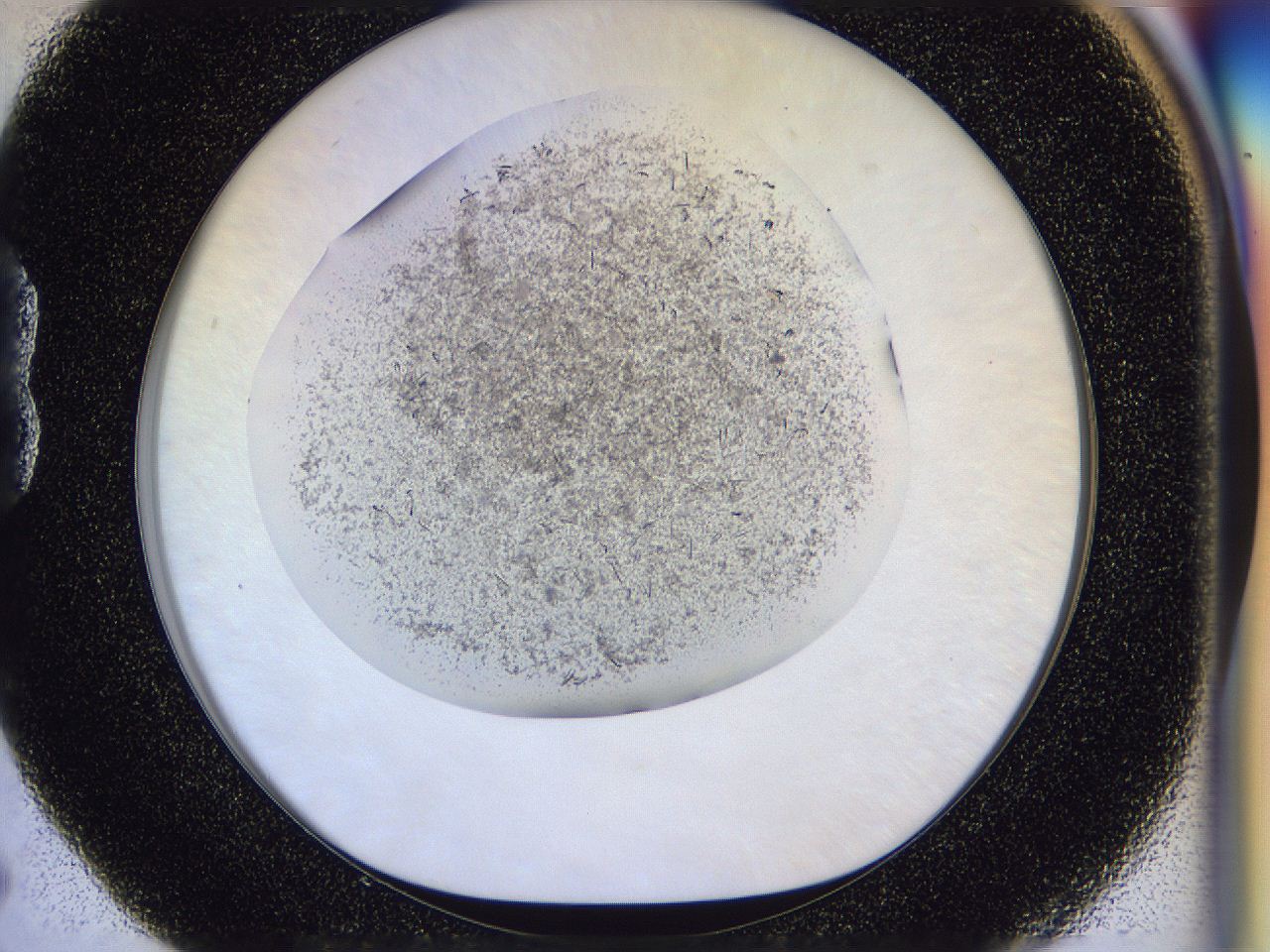 04zw_B5_ImagerDefaults_6.jpg