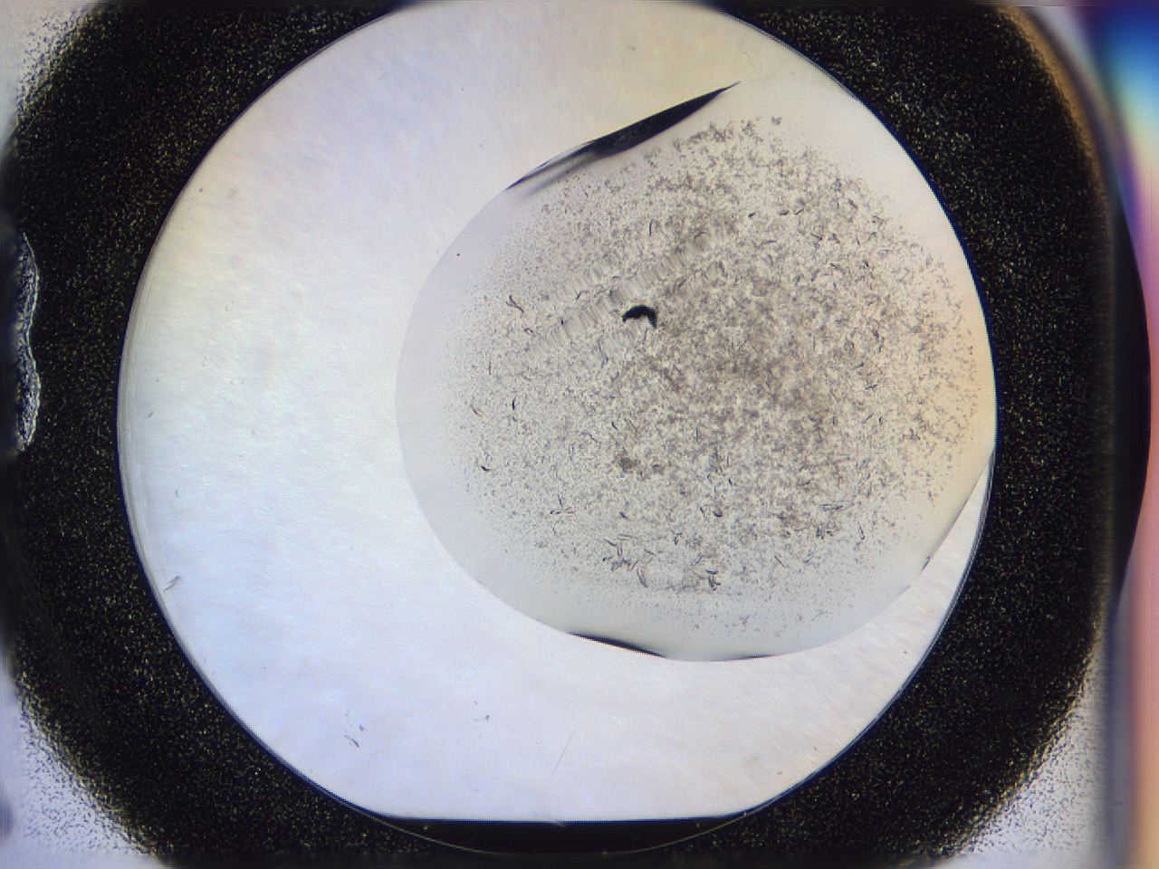 04zw_B6_ImagerDefaults_6.jpg