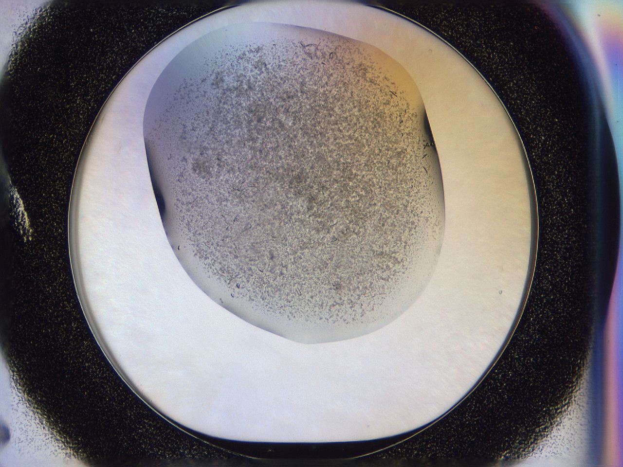 04zw_A5_ImagerDefaults_6.jpg