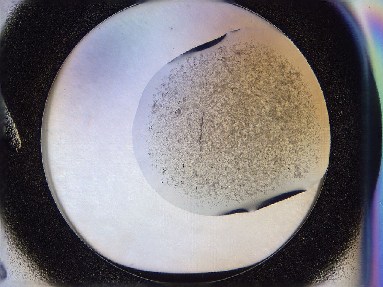 04zw_A6_ImagerDefaults_6.jpg