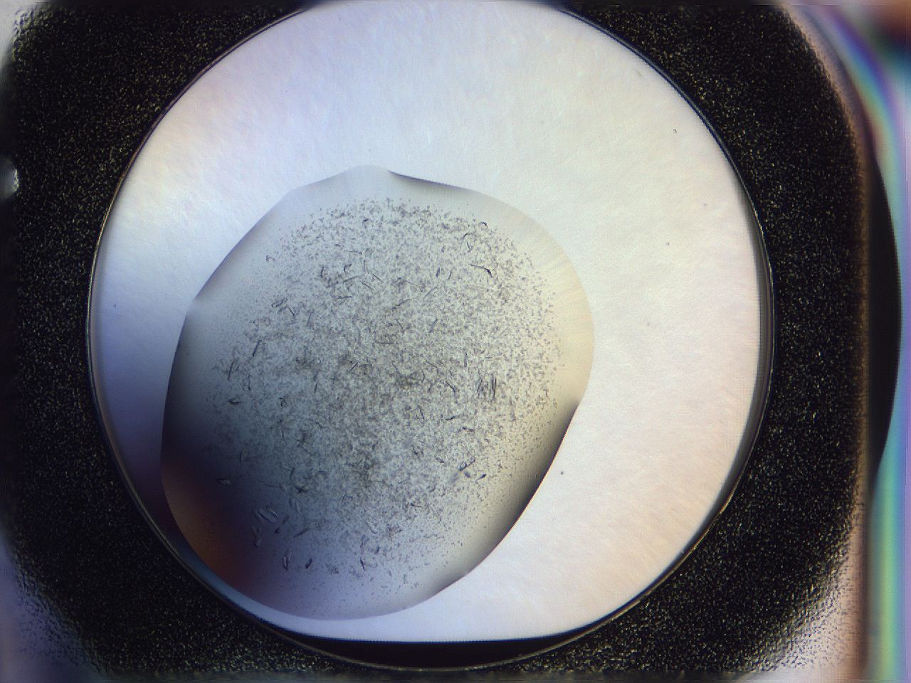 04zw_F4_ImagerDefaults_6.jpg