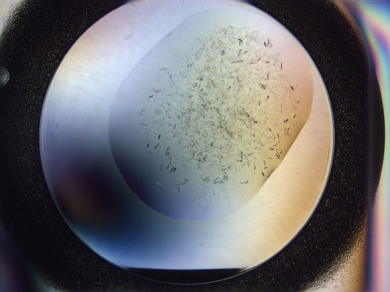 04zw_F6_ImagerDefaults_6.jpg