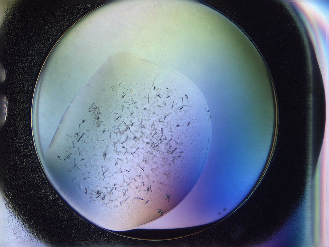 04zw_G5_ImagerDefaults_6.jpg