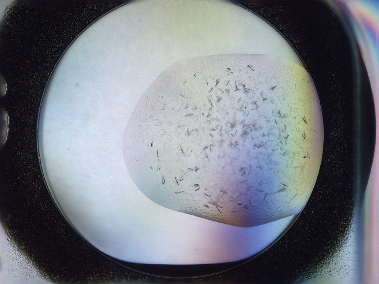 04zw_G6_ImagerDefaults_6.jpg