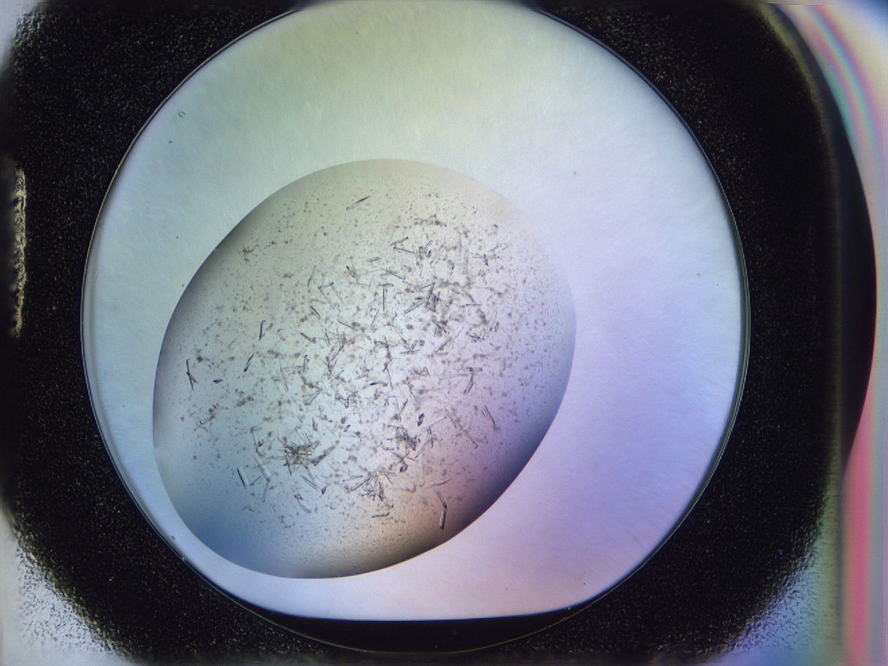 04zw_H4_ImagerDefaults_6.jpg