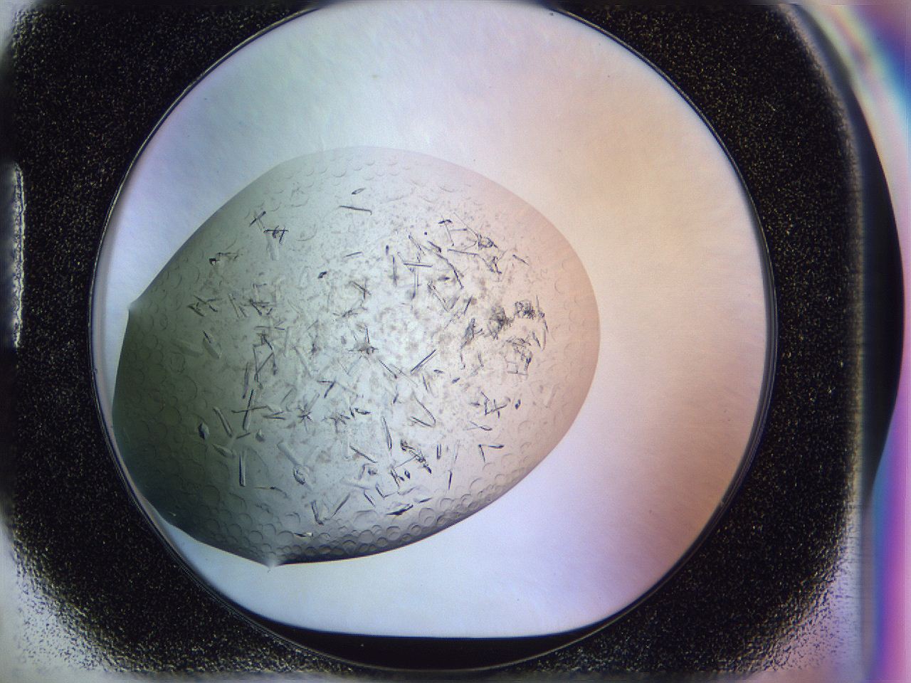 04zw_H5_ImagerDefaults_6.jpg