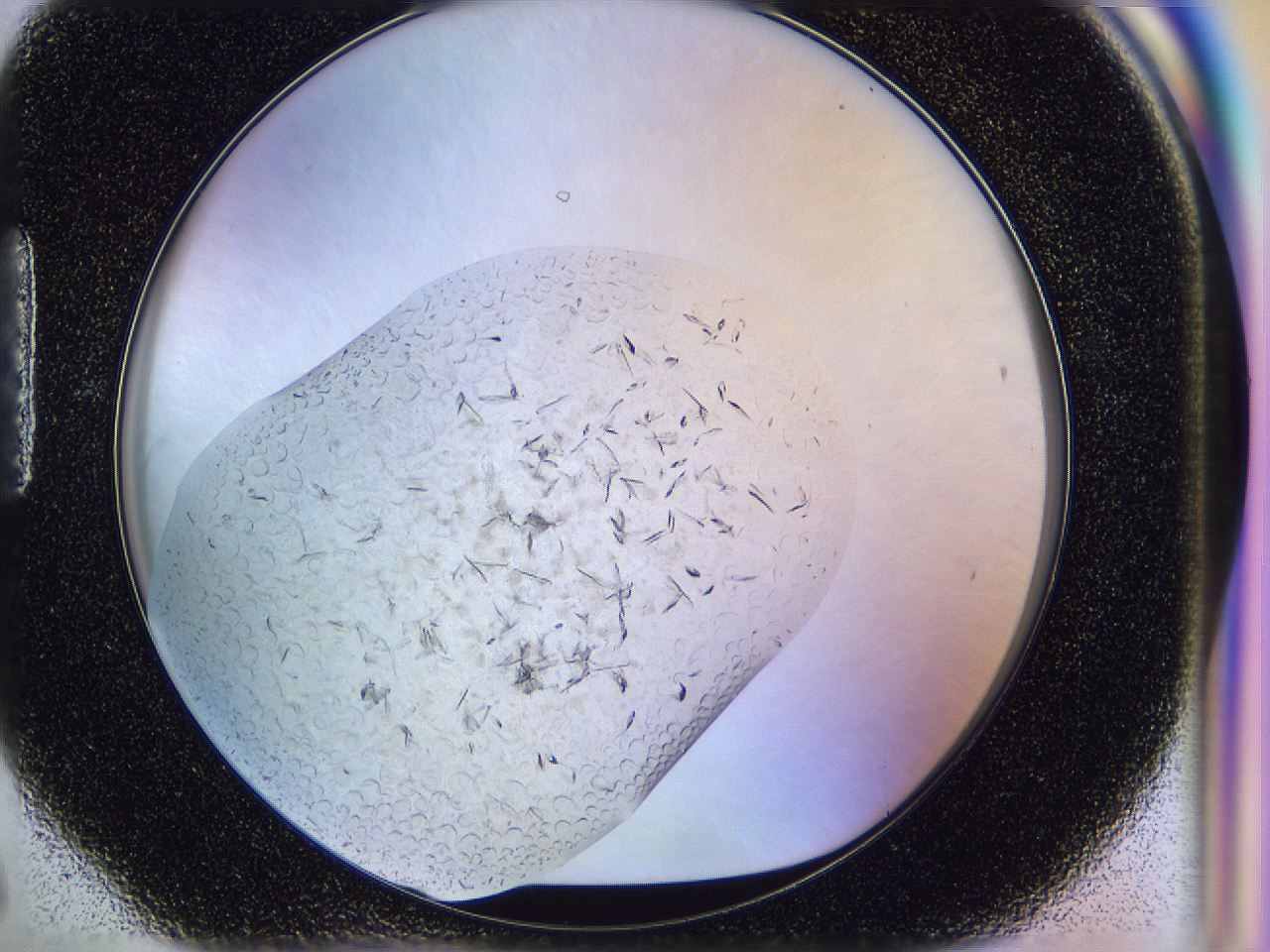 04zw_H6_ImagerDefaults_6.jpg