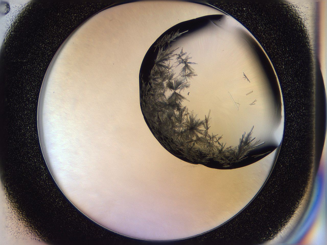 04zy_C2_ImagerDefaults_6.jpg