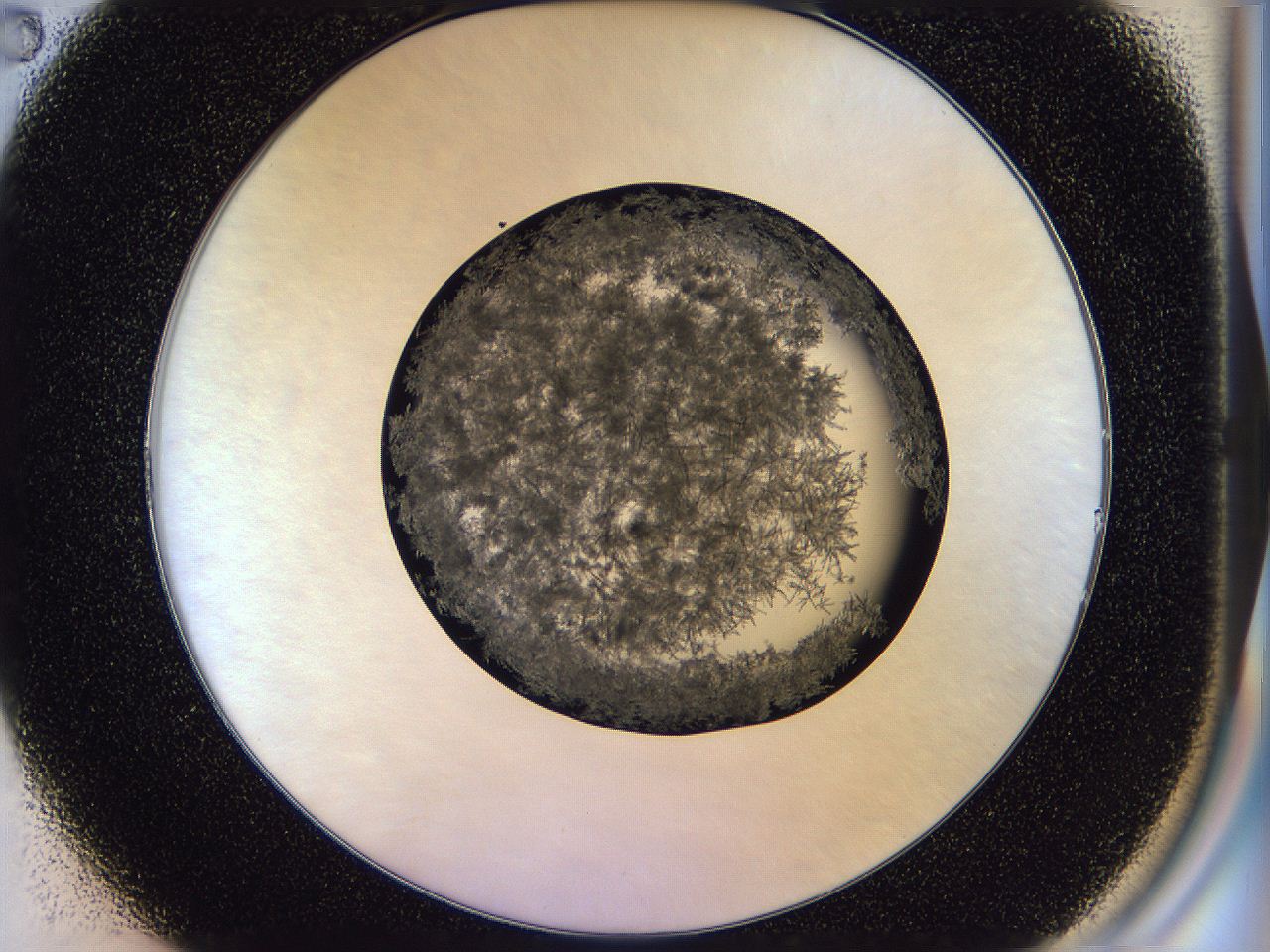 04zz_B2_ImagerDefaults_9.jpg