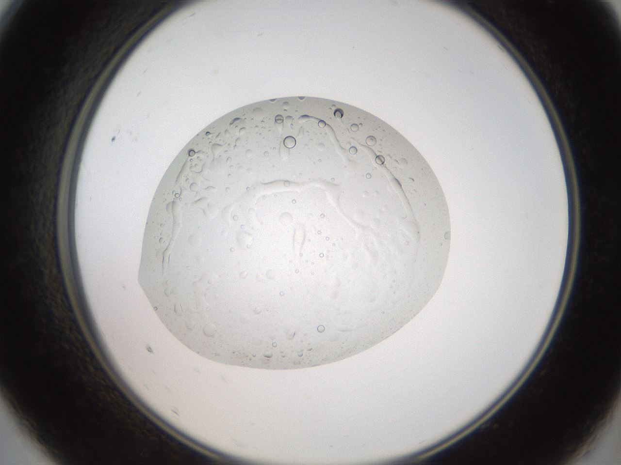 folderID17_plateID3017_batchID16538_wellNum9_profileID1_d2_r251540_ef.jpg