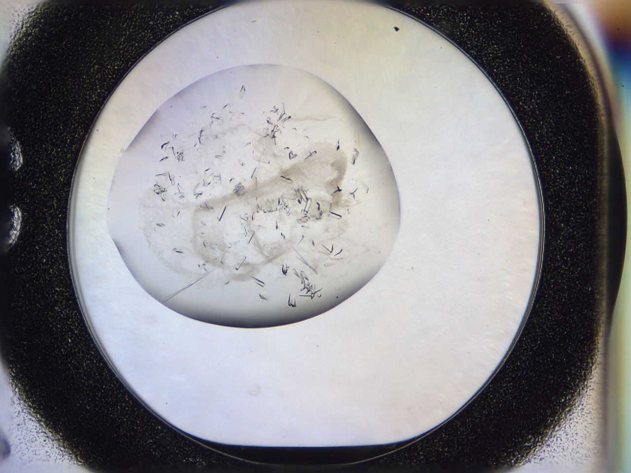 0500_C6_ImagerDefaults_8.jpg