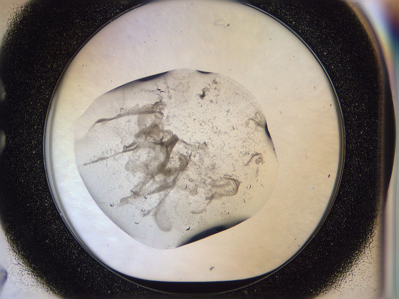 0500_C7_ImagerDefaults_8.jpg
