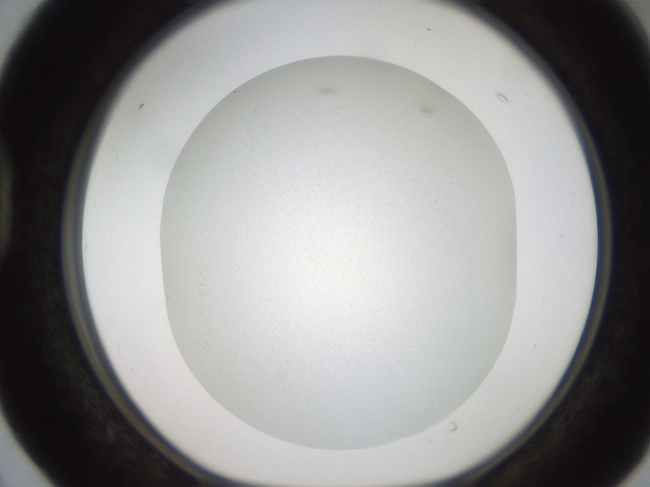 folderID185_plateID2185_batchID9779_wellNum40_profileID1_d1_r147870_ef.jpg
