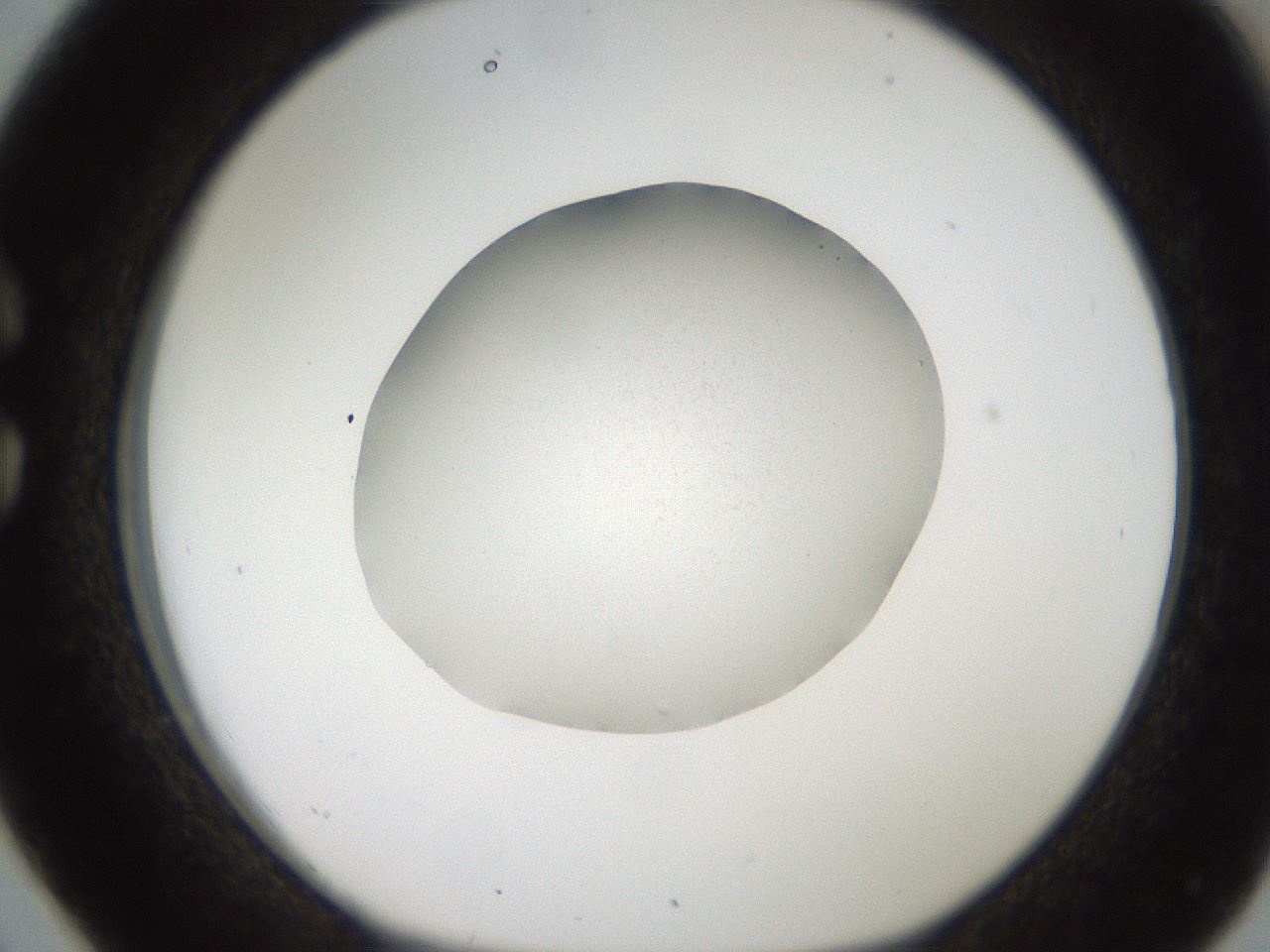 folderID185_plateID2185_batchID9802_wellNum26_profileID1_d1_r147856_ef.jpg