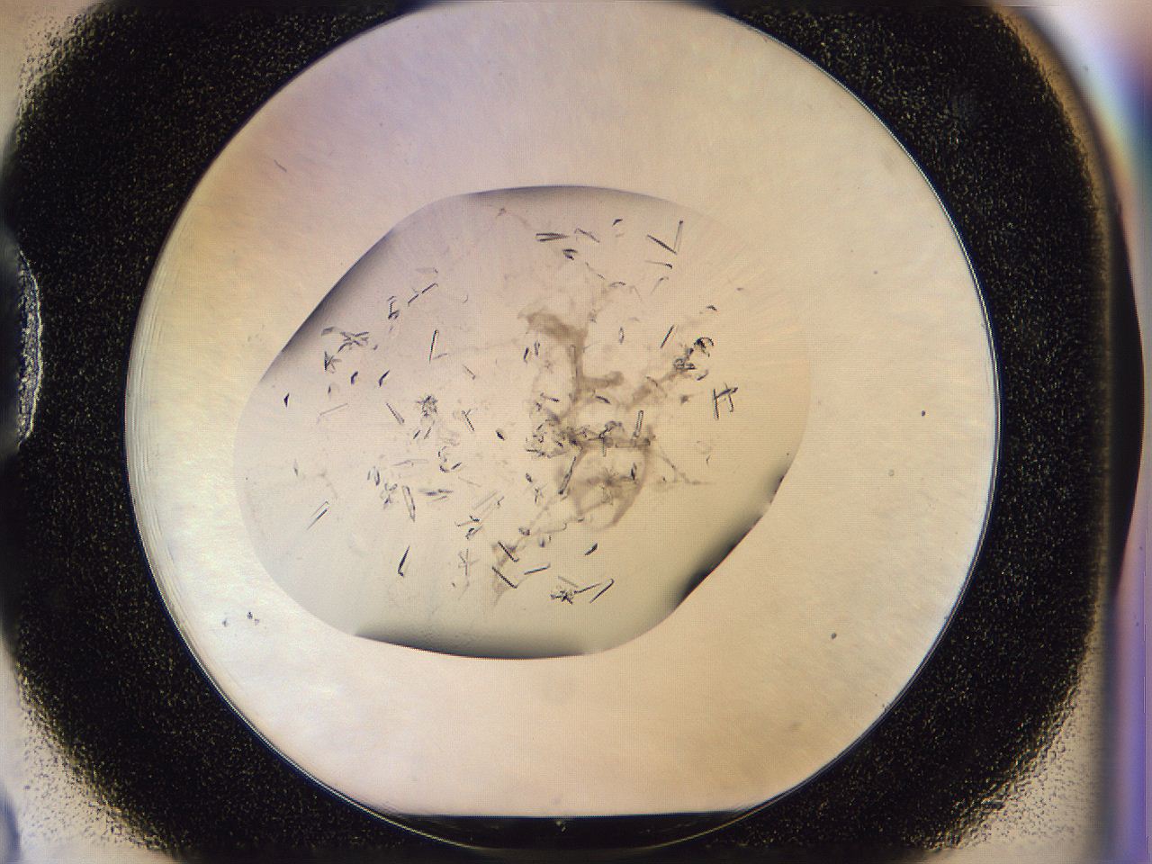 0500_D3_ImagerDefaults_8.jpg