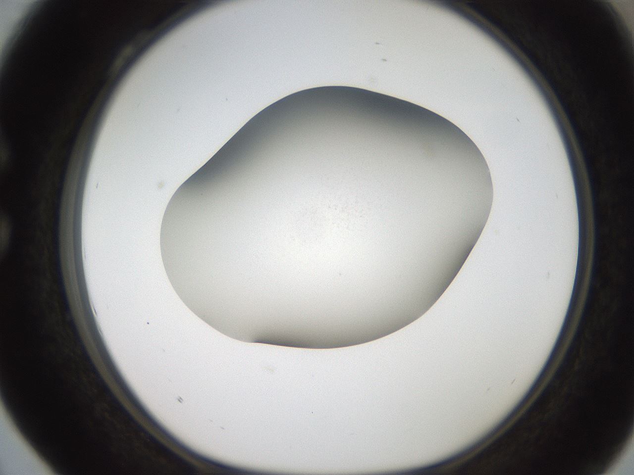 folderID187_plateID2187_batchID9846_wellNum28_profileID1_d1_r148242_ef.jpg