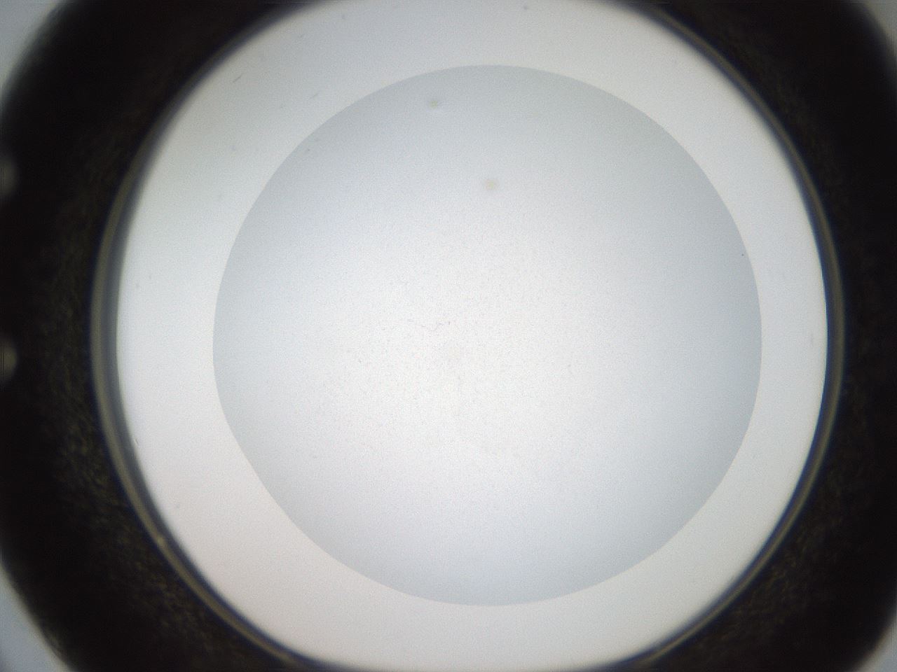 folderID187_plateID2187_batchID9846_wellNum50_profileID1_d1_r148264_ef.jpg