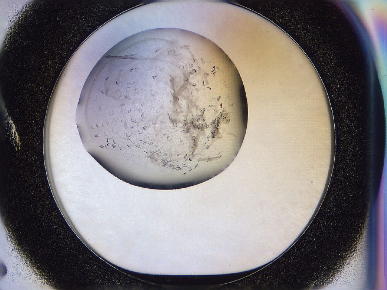 0500_A5_ImagerDefaults_8.jpg