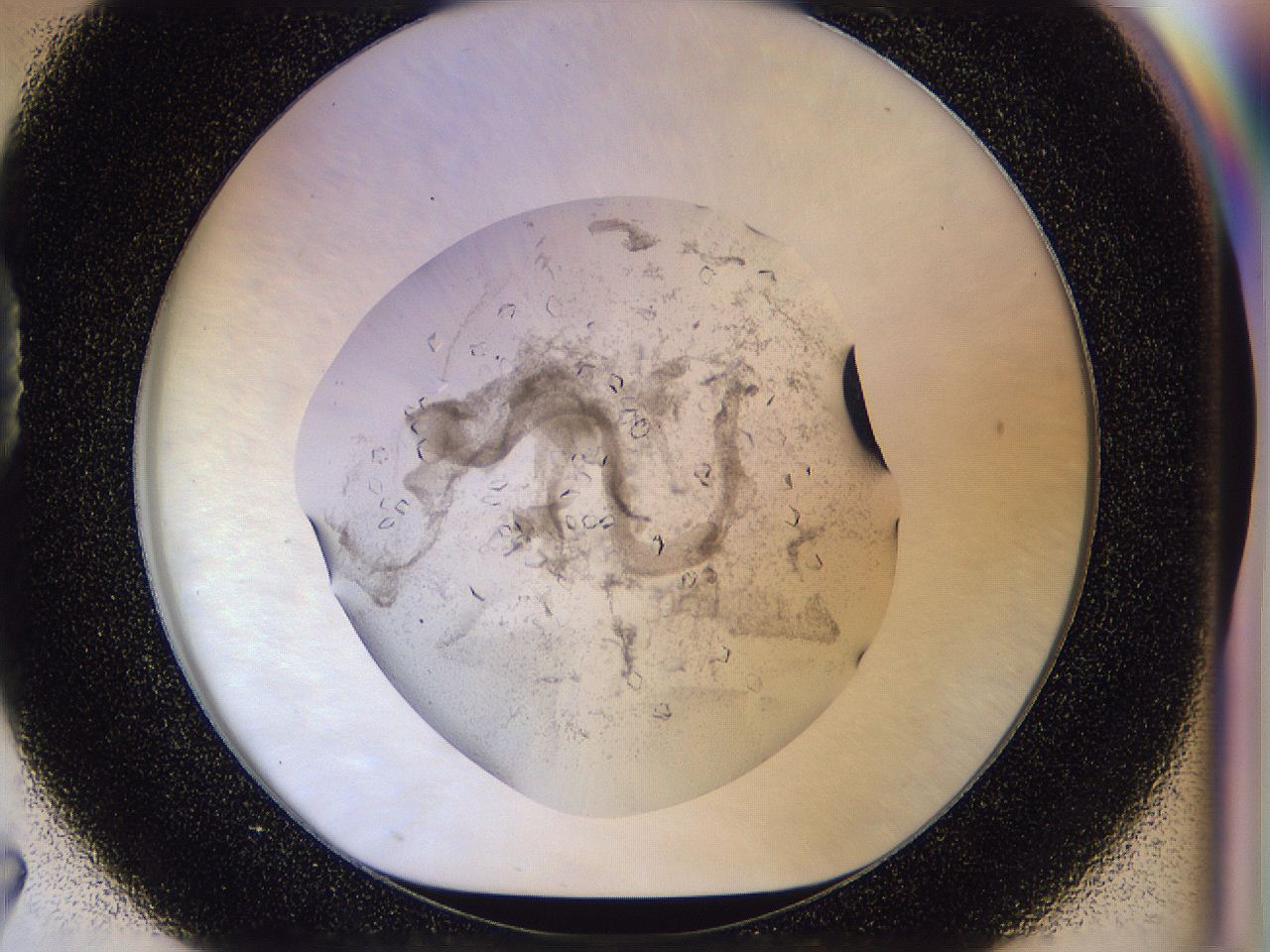 0500_D7_ImagerDefaults_8.jpg