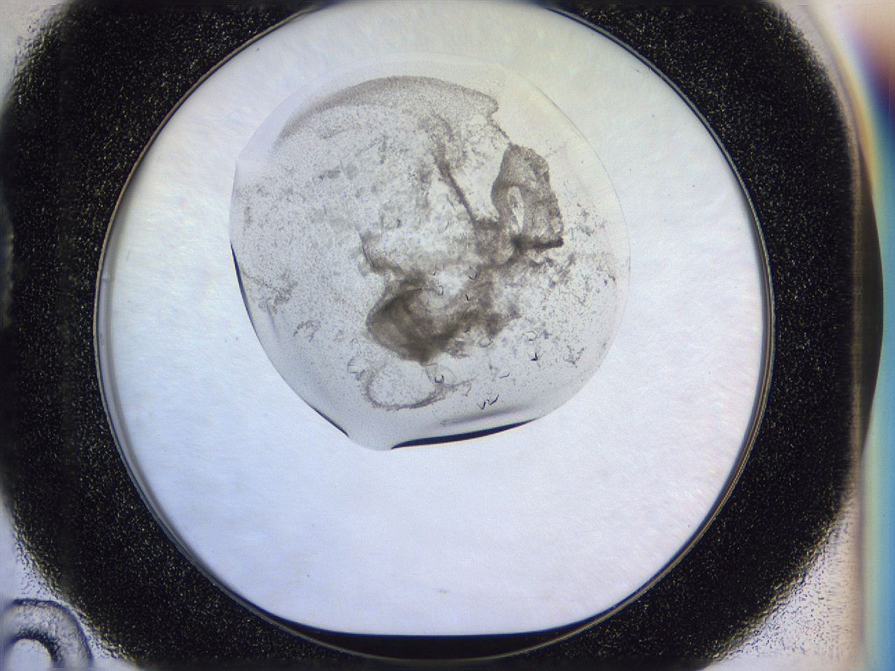 0500_D10_ImagerDefaults_8.jpg