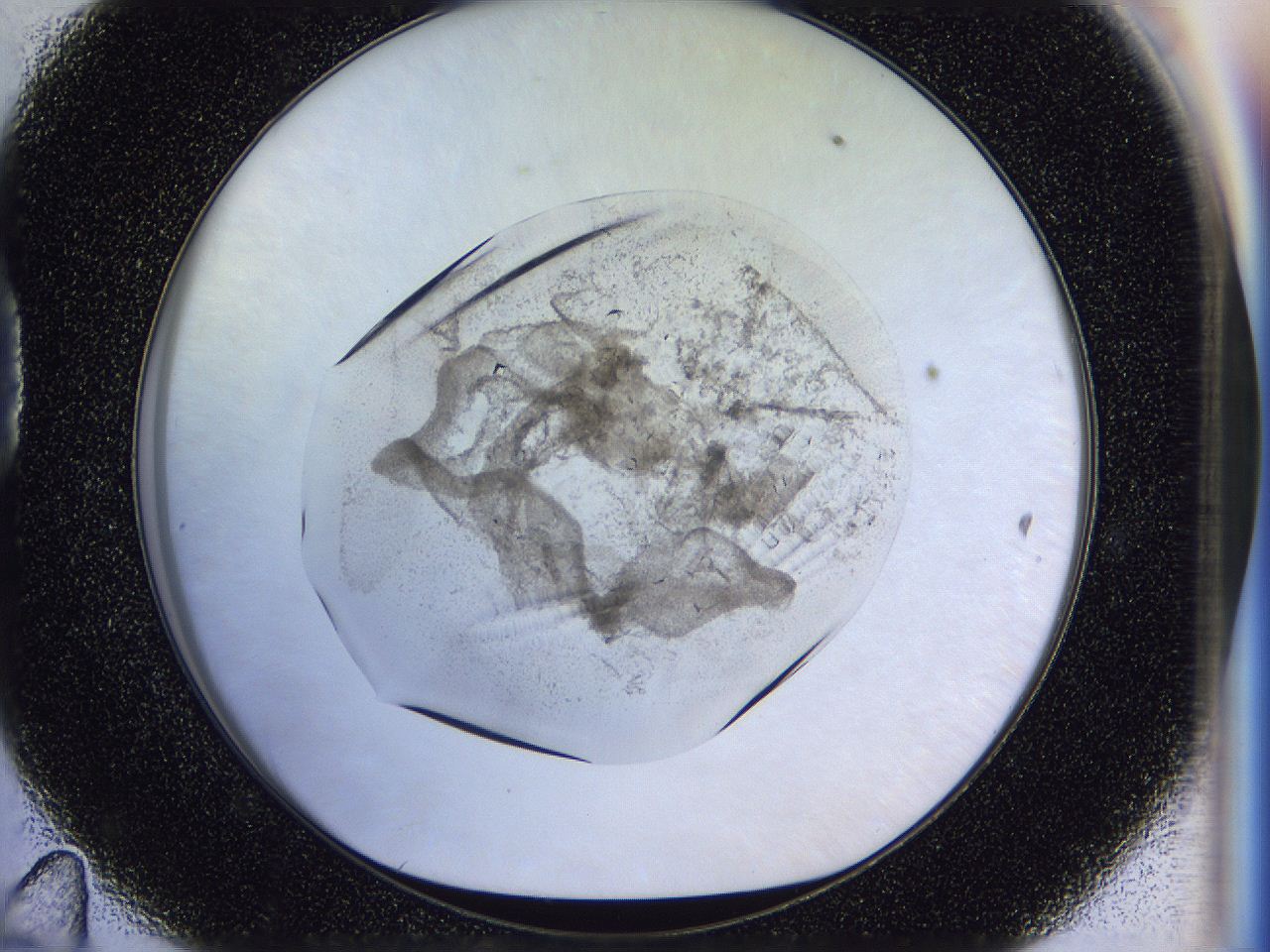 0500_D11_ImagerDefaults_7.jpg