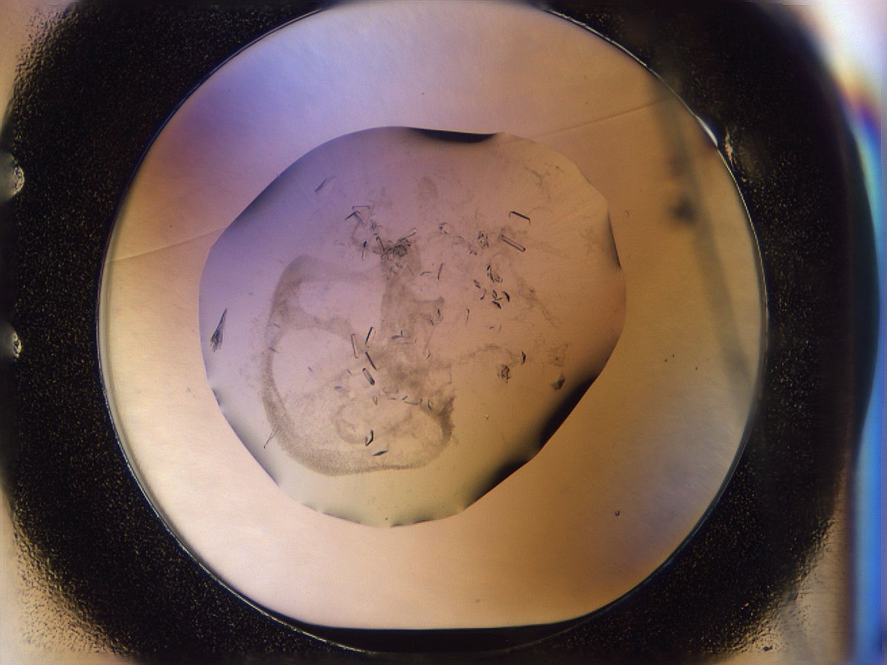 0500_E1_ImagerDefaults_8.jpg