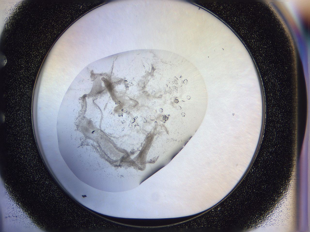 0500_E4_ImagerDefaults_8.jpg