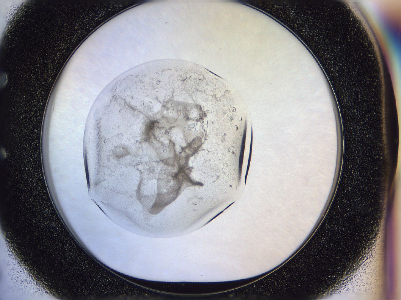 0500_E5_ImagerDefaults_7.jpg