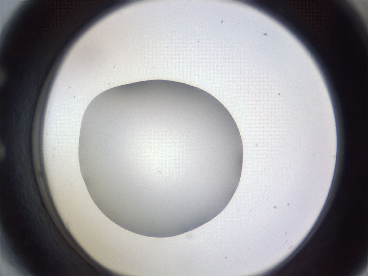folderID190_plateID2190_batchID9847_wellNum54_profileID1_d1_r148556_ef.jpg