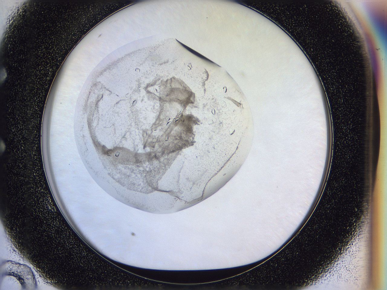 0500_E10_ImagerDefaults_7.jpg