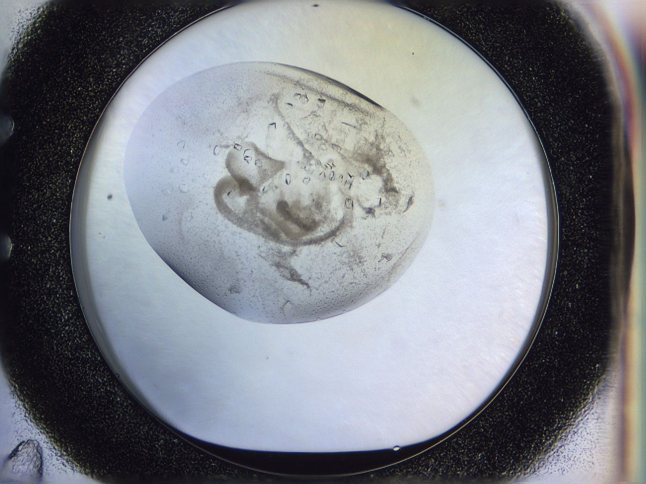 0500_E11_ImagerDefaults_8.jpg