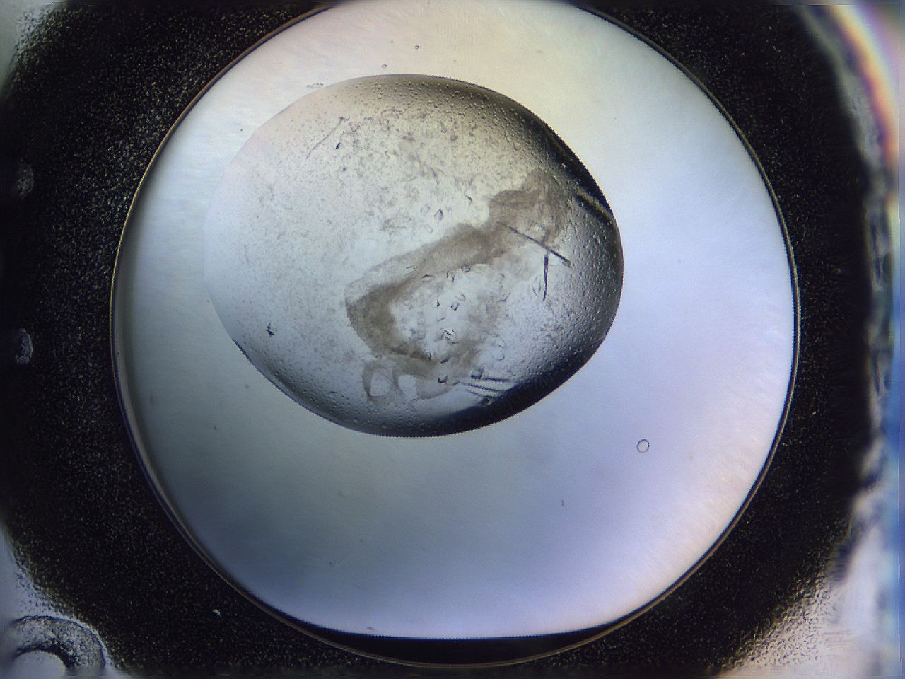 0500_E12_ImagerDefaults_8.jpg