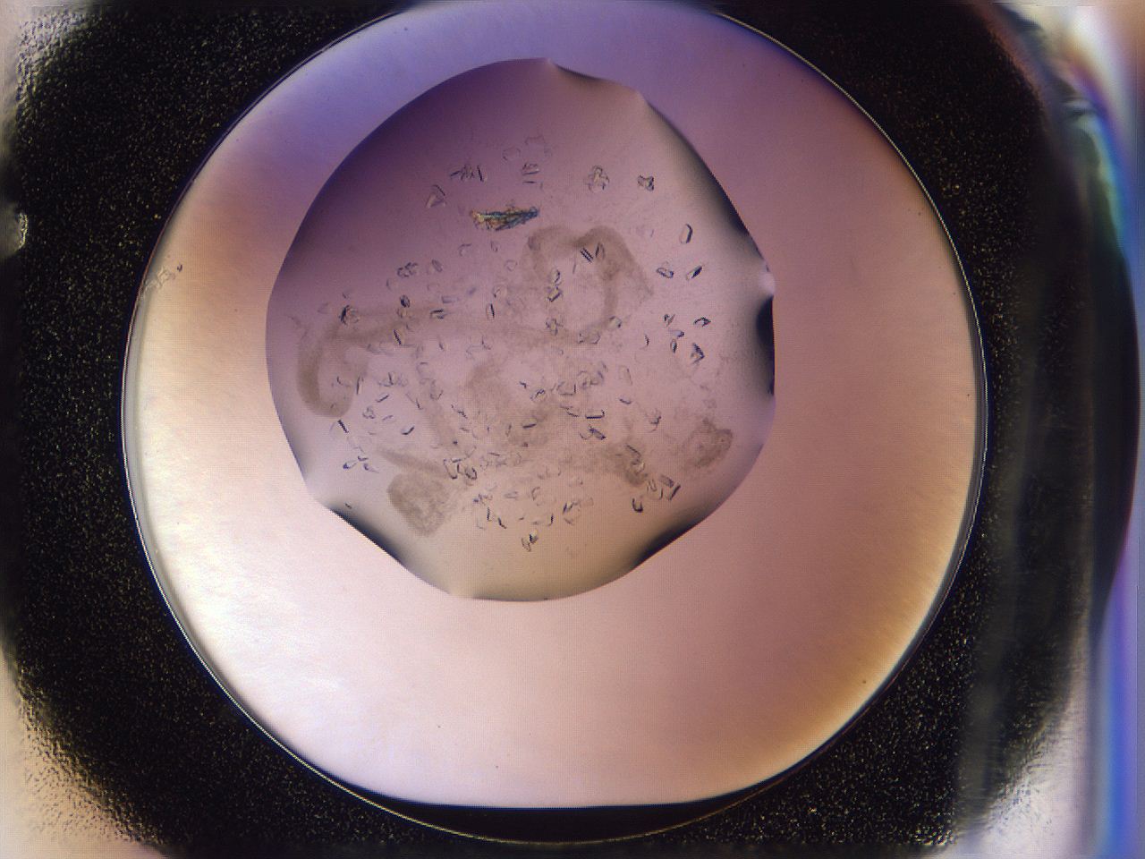0500_F1_ImagerDefaults_8.jpg