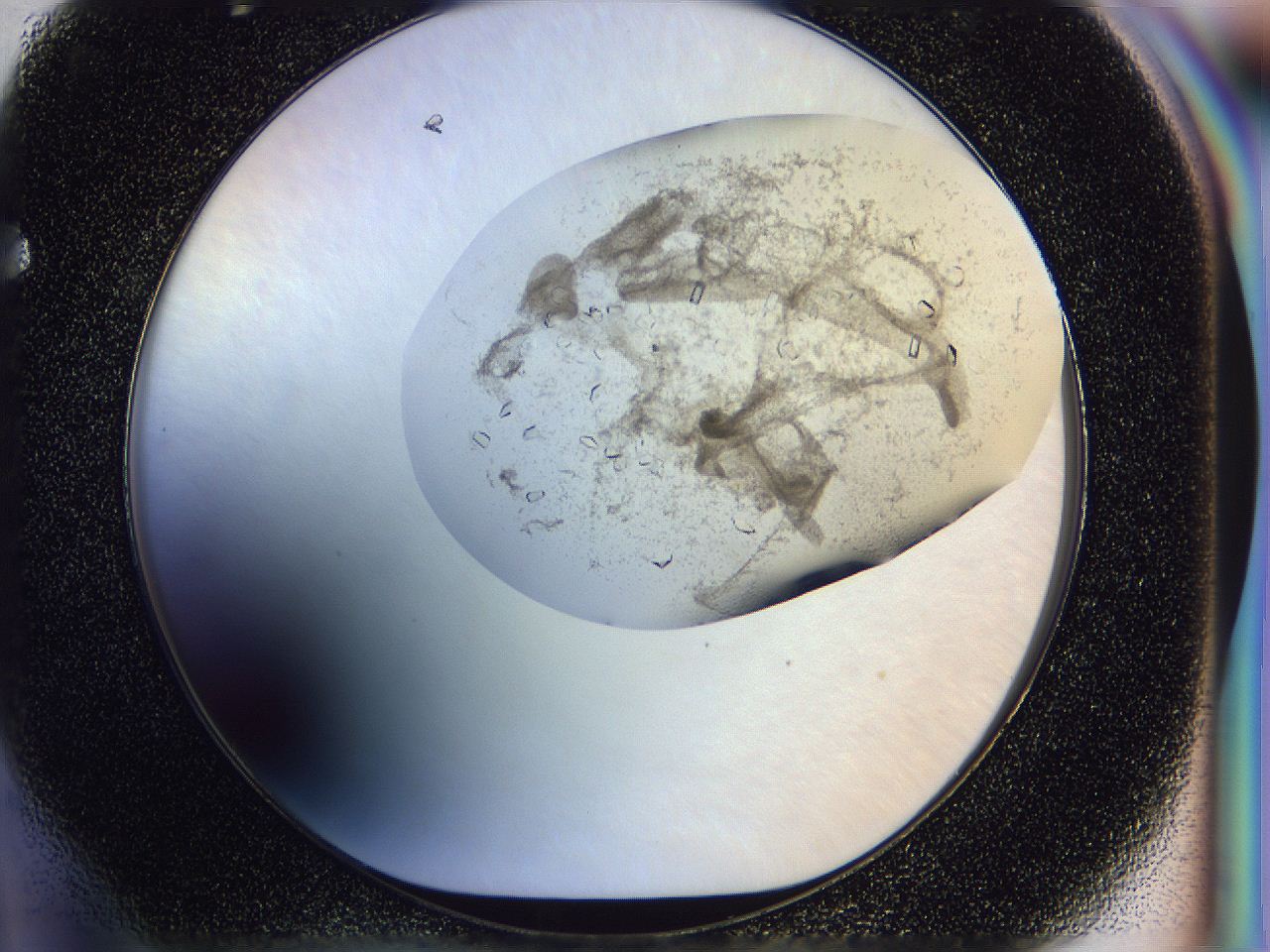 0500_F4_ImagerDefaults_8.jpg