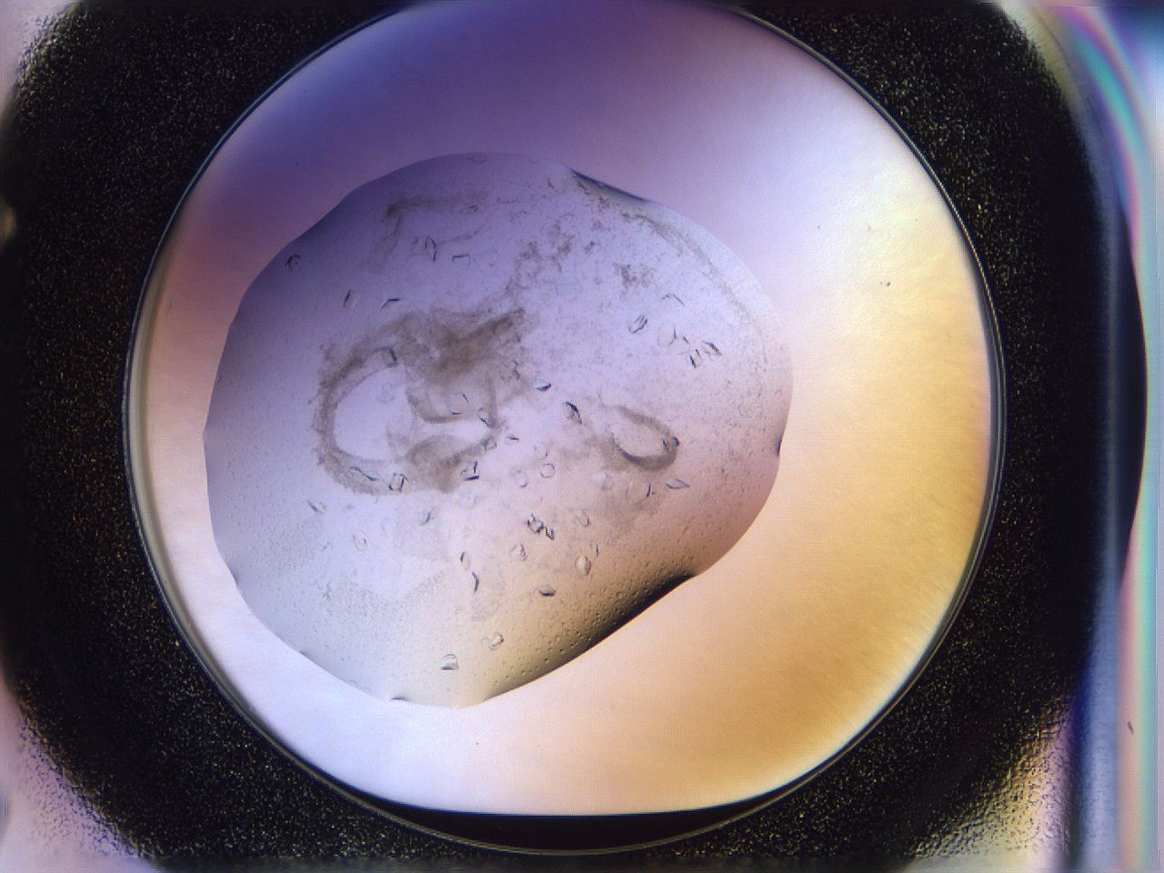 0500_F7_ImagerDefaults_8.jpg